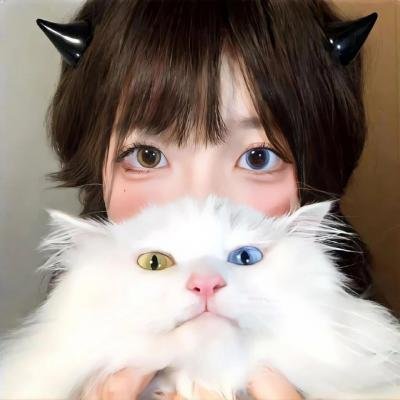 伊尔先生